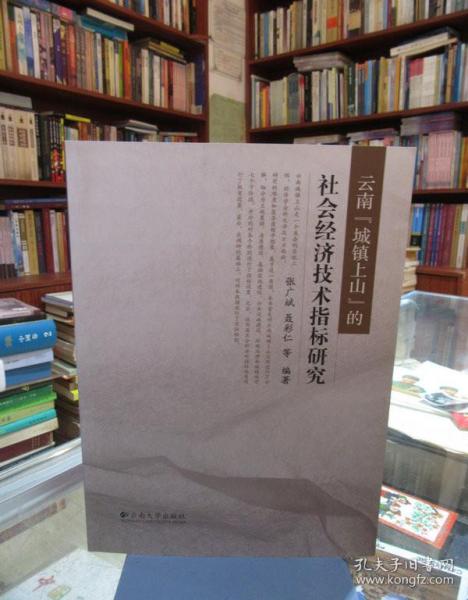 云南“城镇上山”的社会经济技术指标研究