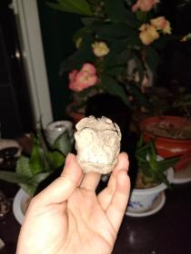 年份好的残狮子摆件