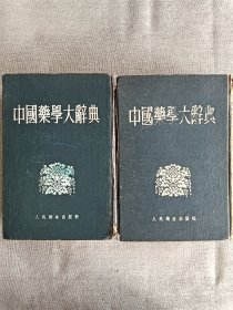 中国药学大辞典