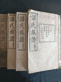 諶氏族谱（光绪丙午）
