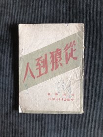丛猿到人