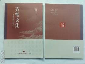 齐笔文化 山东省派大王镇乡村振兴服务队 编 济南出版社  正版 实拍 现货  有库存2