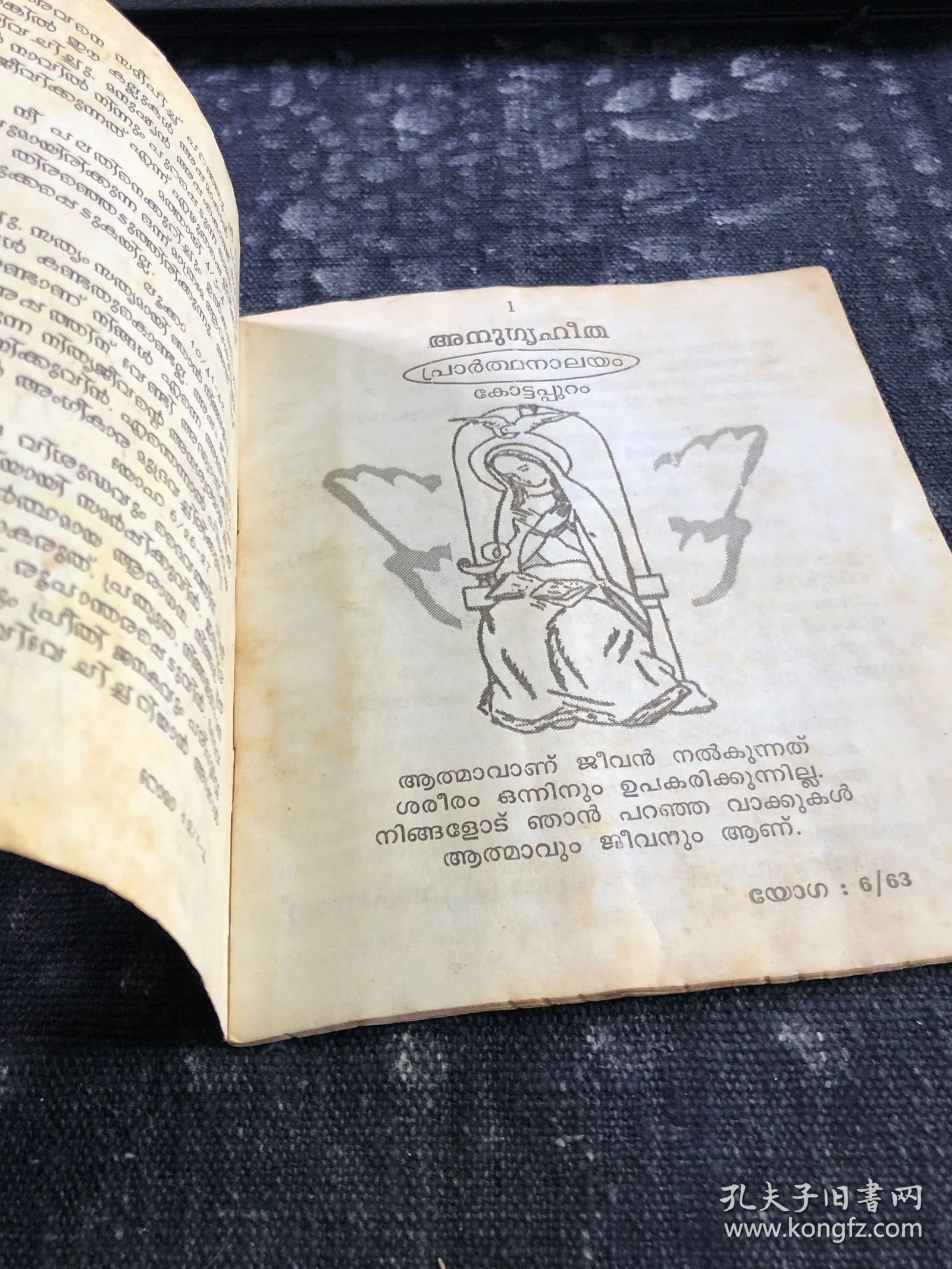 圣诞 小册子