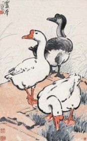 11737 图书画页 印刷品  徐悲鸿 《鹅群》        画面尺寸14.9X24.1厘米