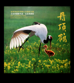 丹顶鹤 : 王克举摄影作品 ·  生态典藏版       世界首部丹顶鹤生态摄影专著
