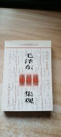毛泽东诗词对联书法集观