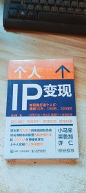 个人IP变现 (未开封)