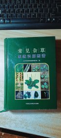 常见杂草系统识别图谱