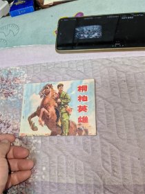桐柏英雄（四）
