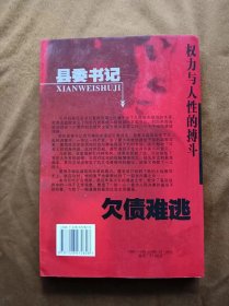 正版未使用 县委书记（欠债难逃）杨耀峰 200512-2版1次