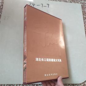 湖北长江堤防建设大写真