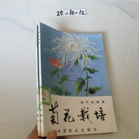 菊花栽培