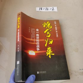 魂兮归来:金一南讲抗日战争