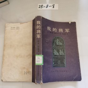 我的将军