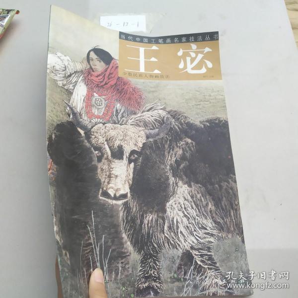 当代中国工笔画名家技法丛书：王宓少数民族人物画技法