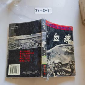 血魂：中国军队血战写真