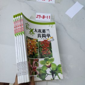 家养大花蕙兰真简单