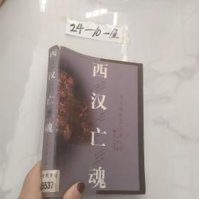 西汉亡魂