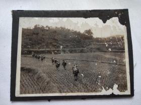 行军照片 日本老照片 民国时期老照片 照片有破损如图！ 照片长8.5厘米，宽6厘米