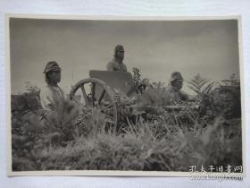 炮兵老照片 日本老照片 民国时期老照片 照片长11厘米，宽7.5厘米
