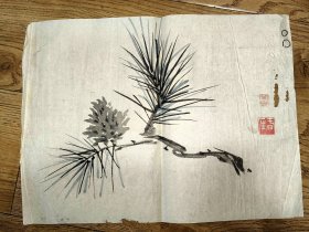 【老字画】（少破损）24523春厓？  老花鸟松枝   作者不知捡漏自鉴C