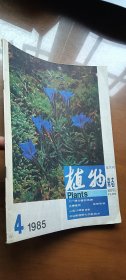 植物杂志1985年第4期