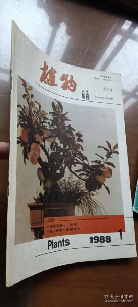 植物杂志1988年第1期