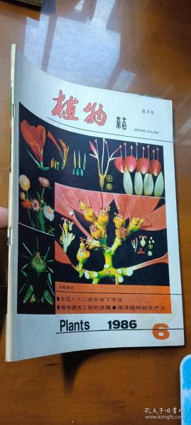 植物杂志1986年第6期