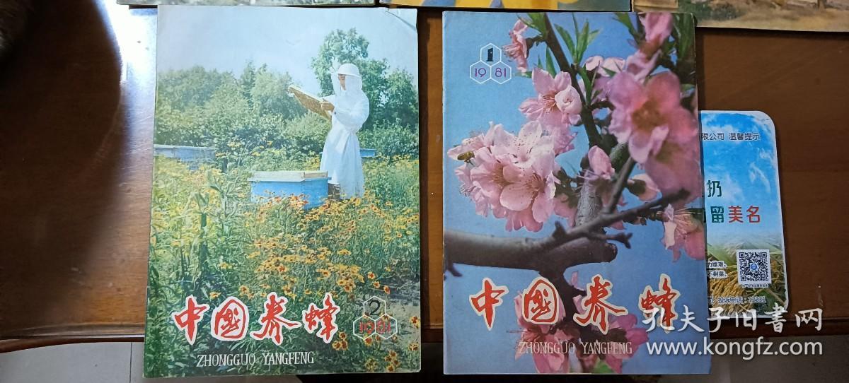 中国养蜂 1981年第1、2、3、4、6期（合售 品较好）