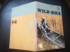 wild rice