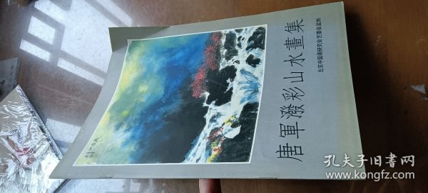 唐军泼彩山水画集