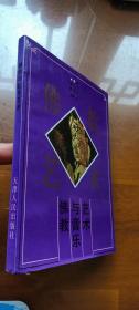 佛教艺术丛书：佛教与音乐艺术（1印品好）