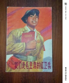 我们是毛主席的红卫兵