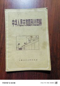 中华人民共和国刑法图解