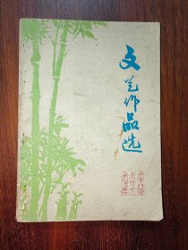 文艺作品选