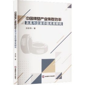 中国橡塑产业集群效率及其与企业价值关系研究 西南财经大学出版社