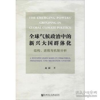 全球气候政治中的新兴大国群体化——结构、进程与机制分析