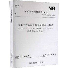 水电工程软弱土地基处理技术规范 NB/T 10343-2019 中国水利水电出版社