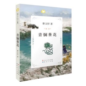 曹文轩文集?青铜葵花 天天出版社