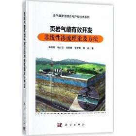 页岩气藏有效开发非线性渗流理论及方法