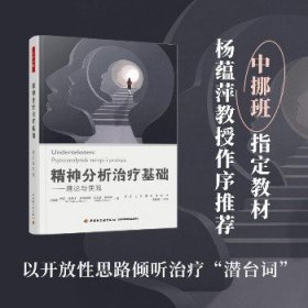 精神分析治疗基础——理论与实践 中国轻工业出版社