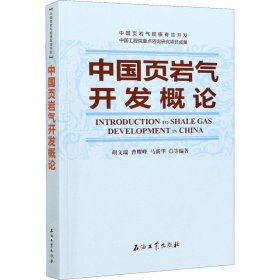 中国页岩气开发概论 石油工业出版社