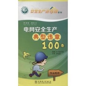 电网安全生产典型违章100条 中国电力出版社