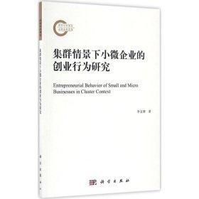 集群情景下小微企业的创业行为研究