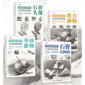 素描基础教程：从结构到明暗（全4册）