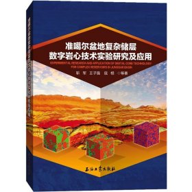 准噶尔盆地复杂储层数字岩心技术实验研究及应用 石油工业出版社