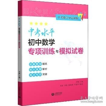 中考水平初中数学专项训练与模拟试卷