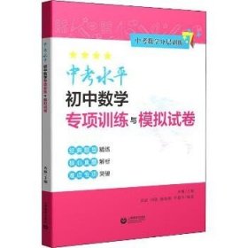 中考水平初中数学专项训练与模拟试卷