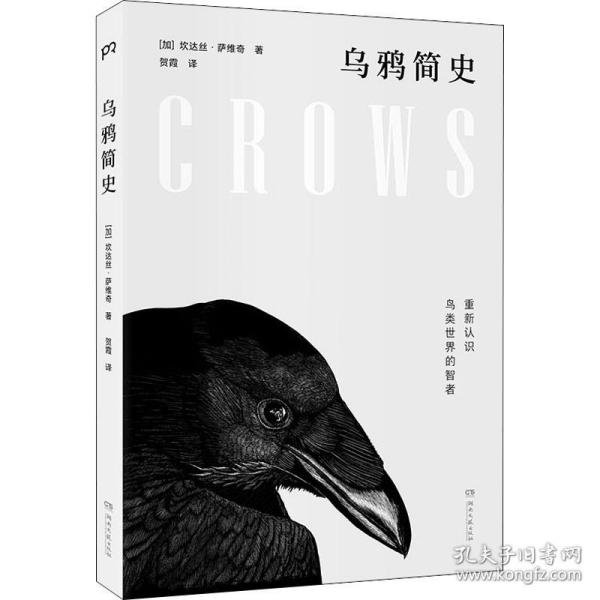 乌鸦简史:重新认识鸟类世界的智者(长销15年的科普经典,