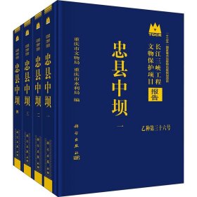 忠县中坝(1-4) 科学出版社